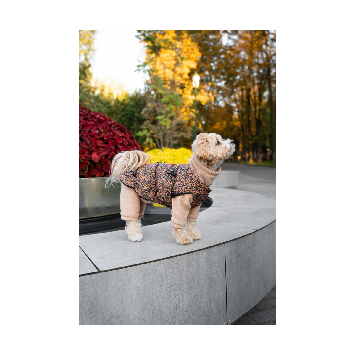 Жилет леопард