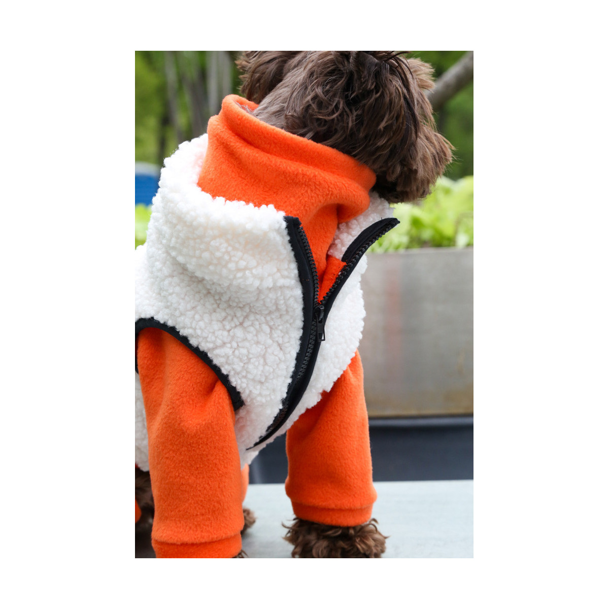 Жилет Тедді