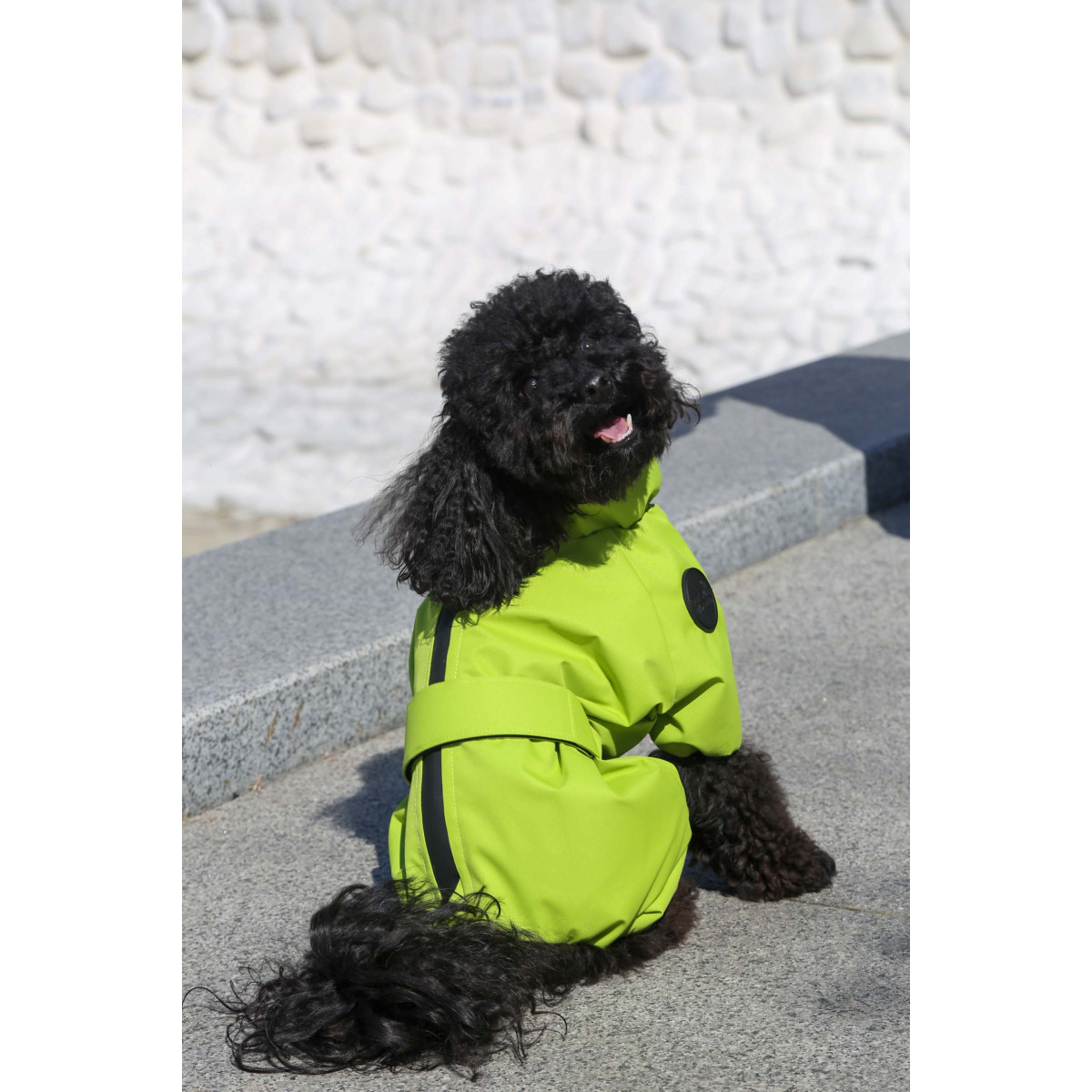 Membrane waterproof dog suite lime