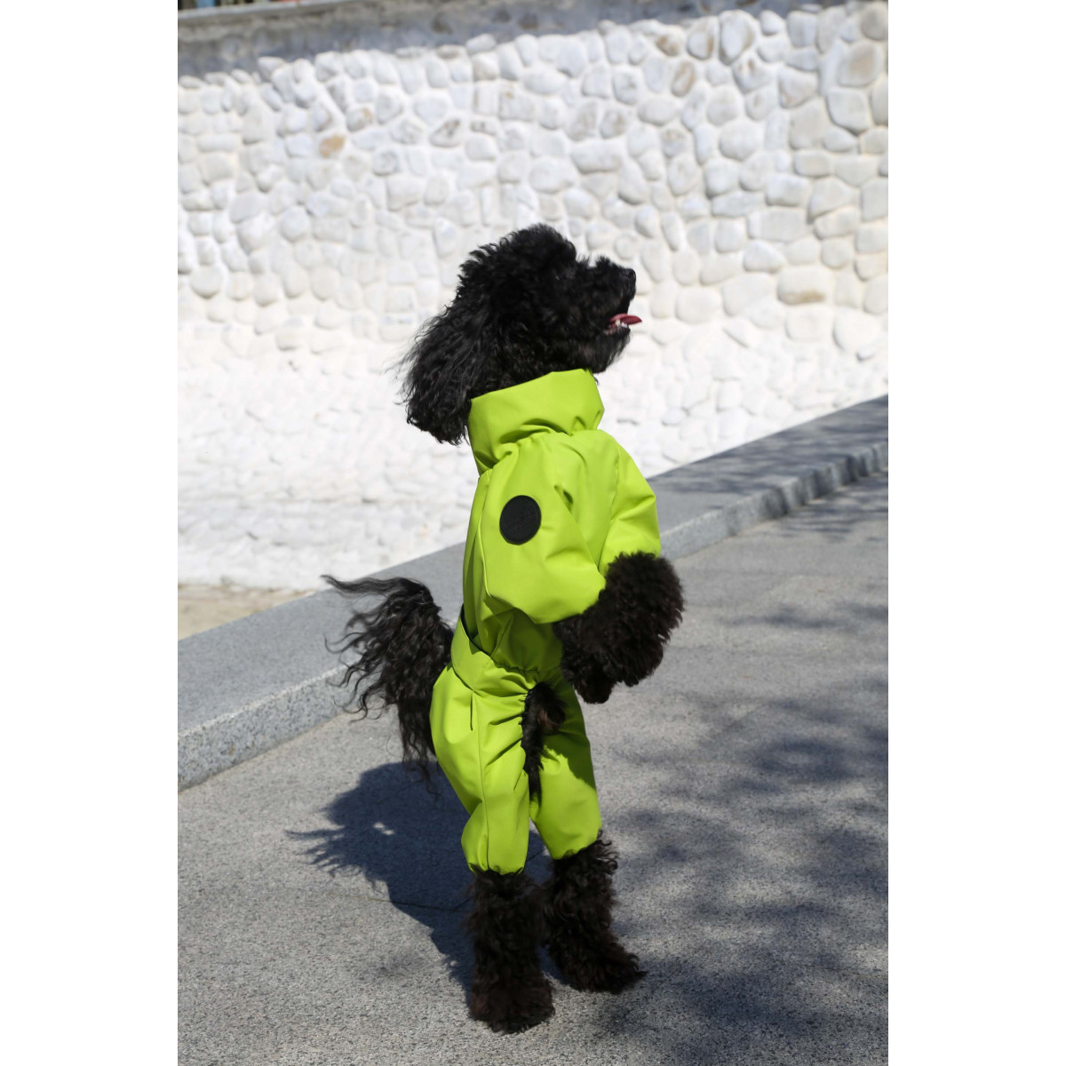 Membrane waterproof dog suite lime
