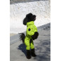Membrane waterproof dog suite lime