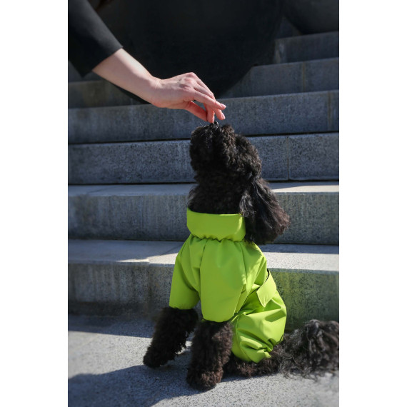 Membrane waterproof dog suite lime