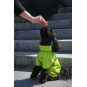 Membrane waterproof dog suite lime