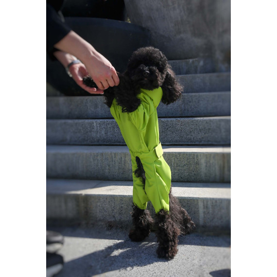 Membrane waterproof dog suite lime