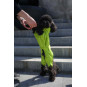 Membrane waterproof dog suite lime