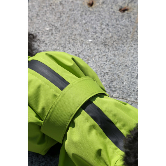 Membrane waterproof dog suite lime