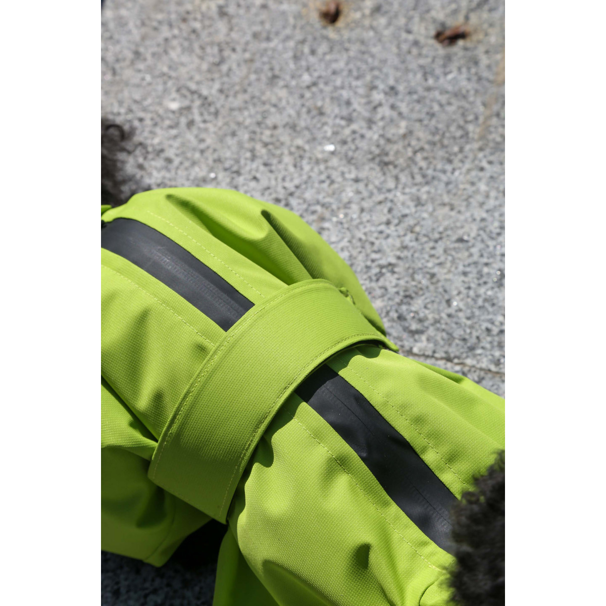 Membrane waterproof dog suite lime