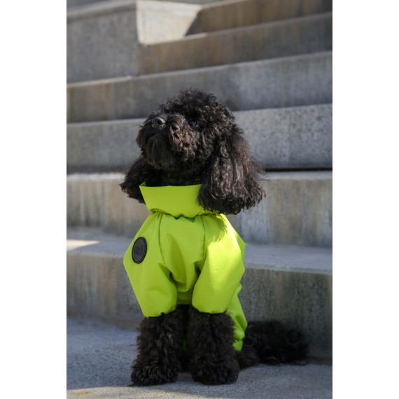 Membrane waterproof dog suite lime