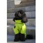 Membrane waterproof dog suite lime