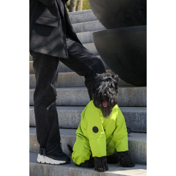 Membrane waterproof dog suite lime