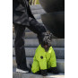 Membrane waterproof dog suite lime
