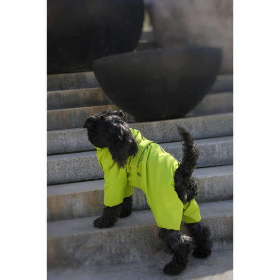 Membrane waterproof dog suite lime