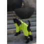 Membrane waterproof dog suite lime