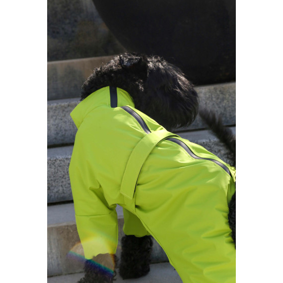 Membrane waterproof dog suite lime