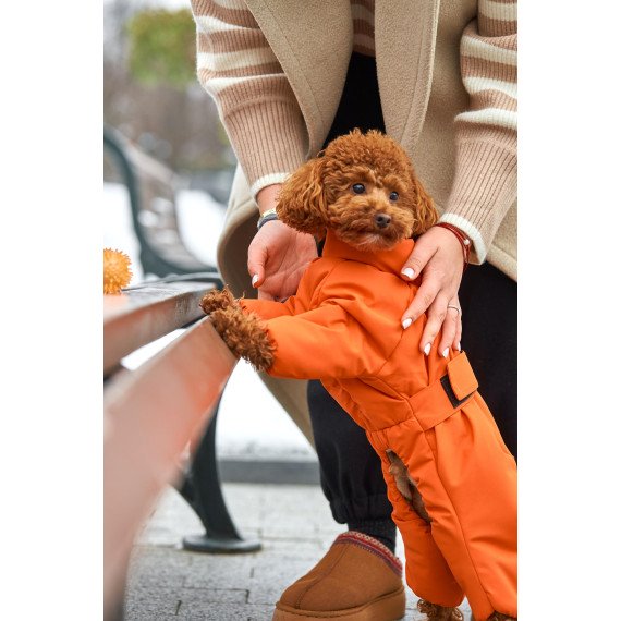 Membrane waterproof dog suite orange