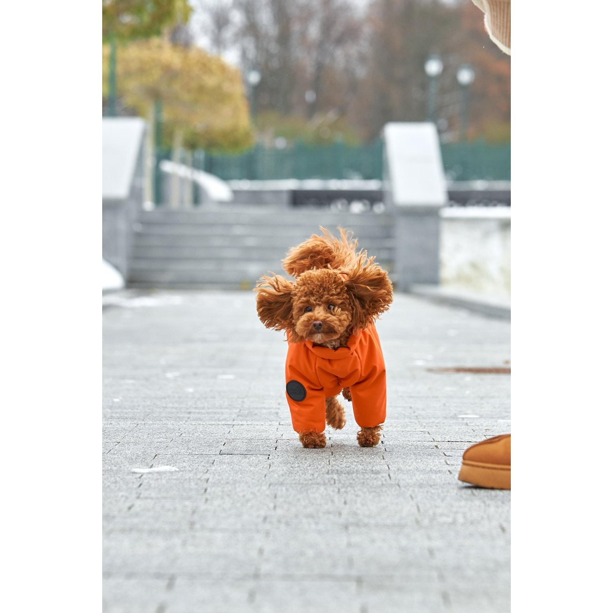 Membrane waterproof dog suite orange
