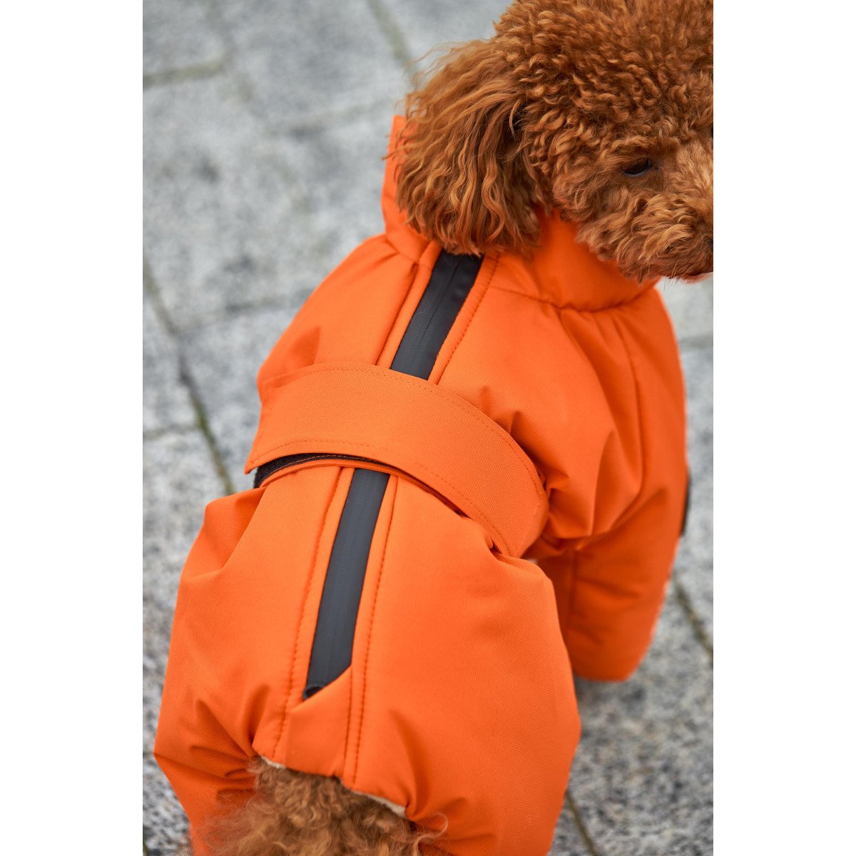 Membrane waterproof dog suite orange
