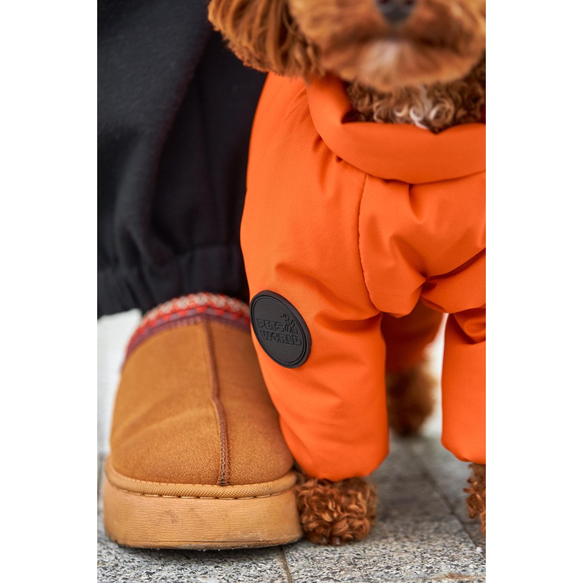 Membrane waterproof dog suite orange