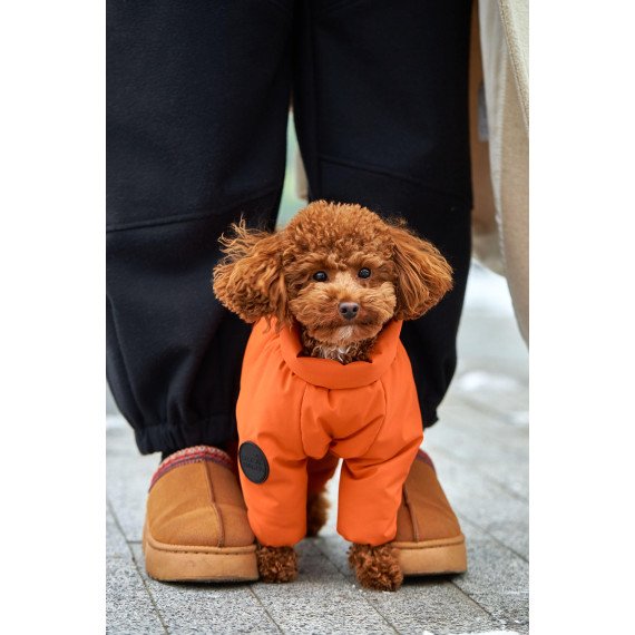 Membrane waterproof dog suite orange