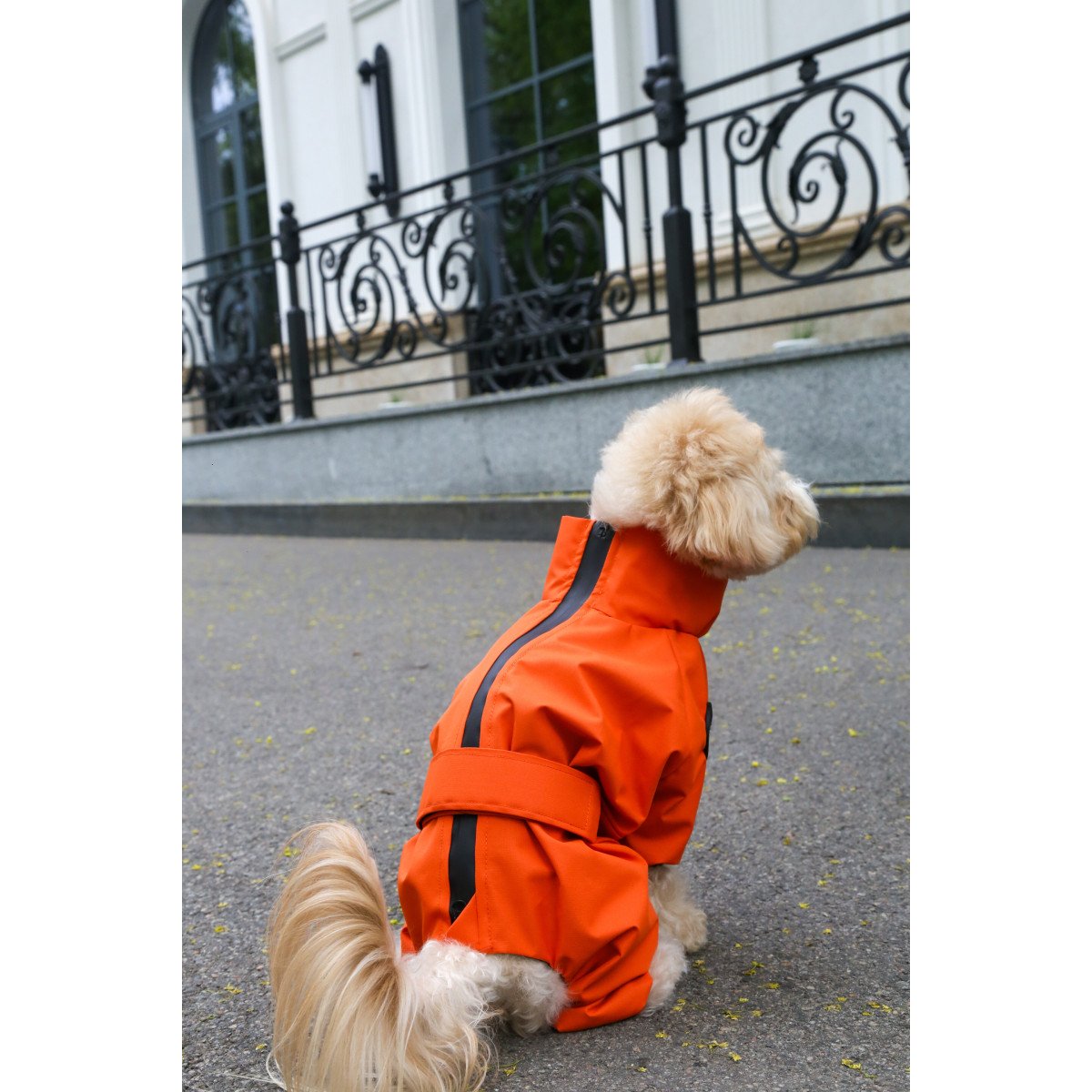 Membrane waterproof dog suite orange