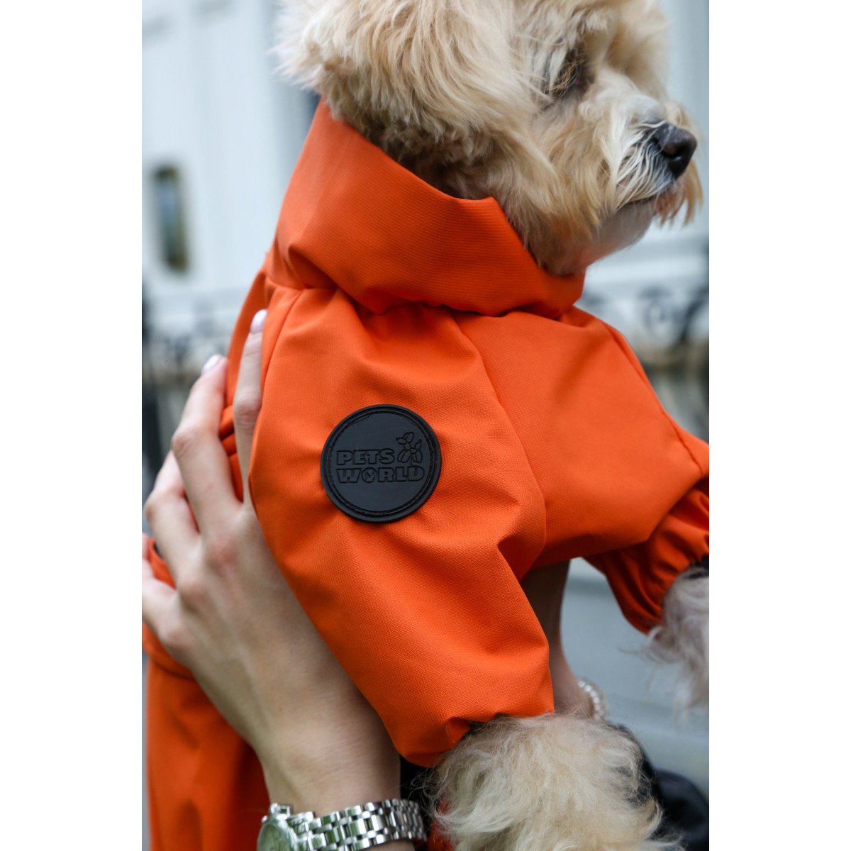 Membrane waterproof dog suite orange