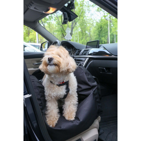 Car seat for dog