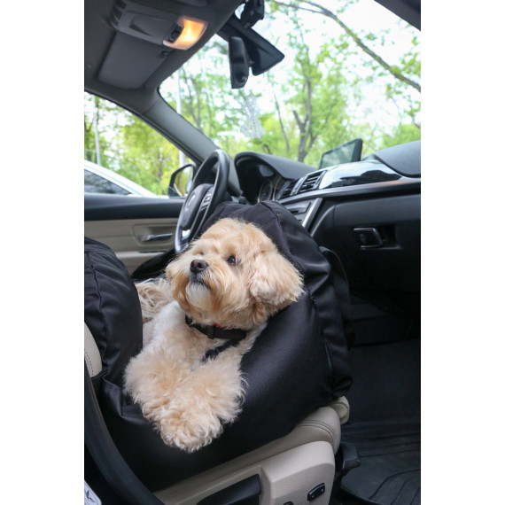 Car seat for dog