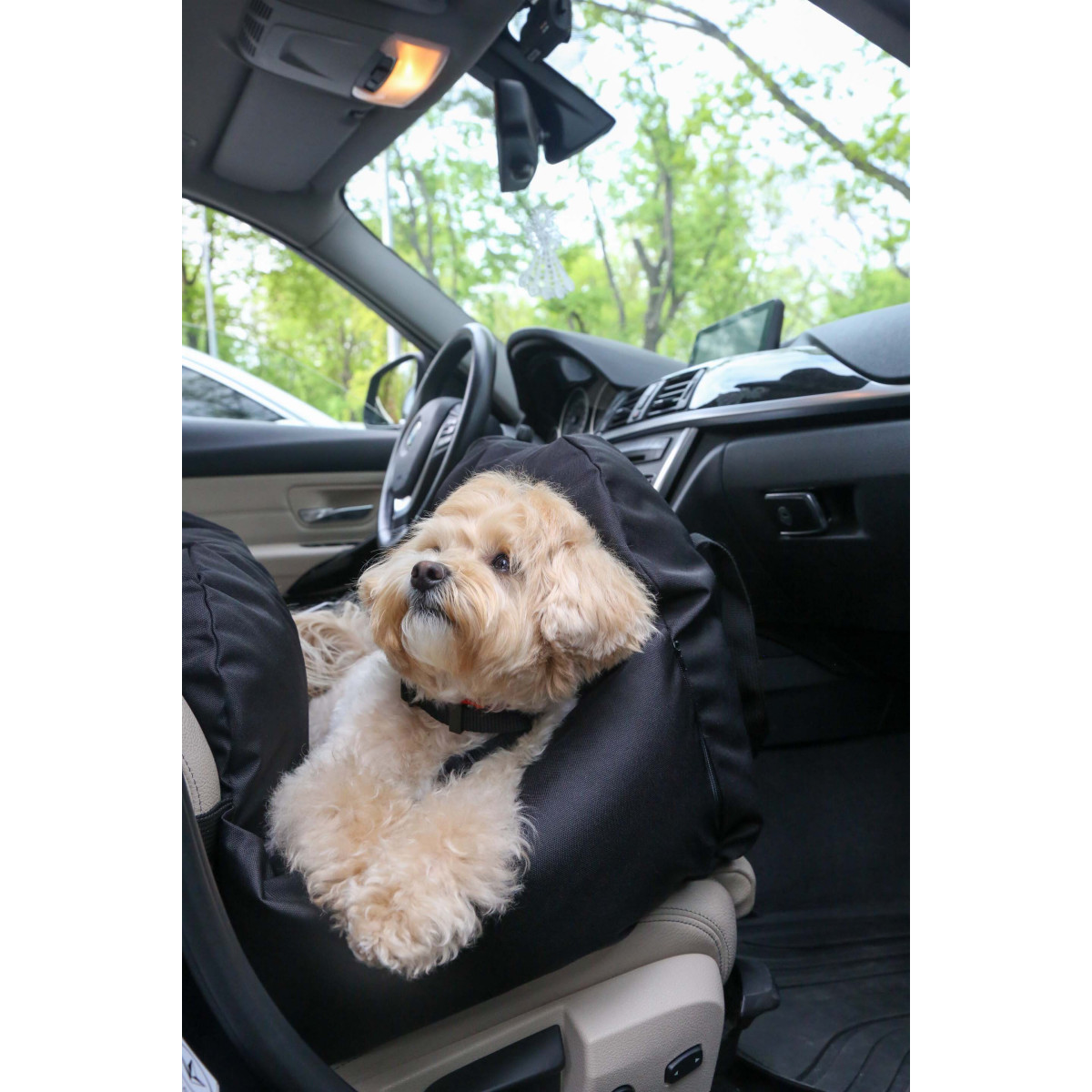Car seat for dog