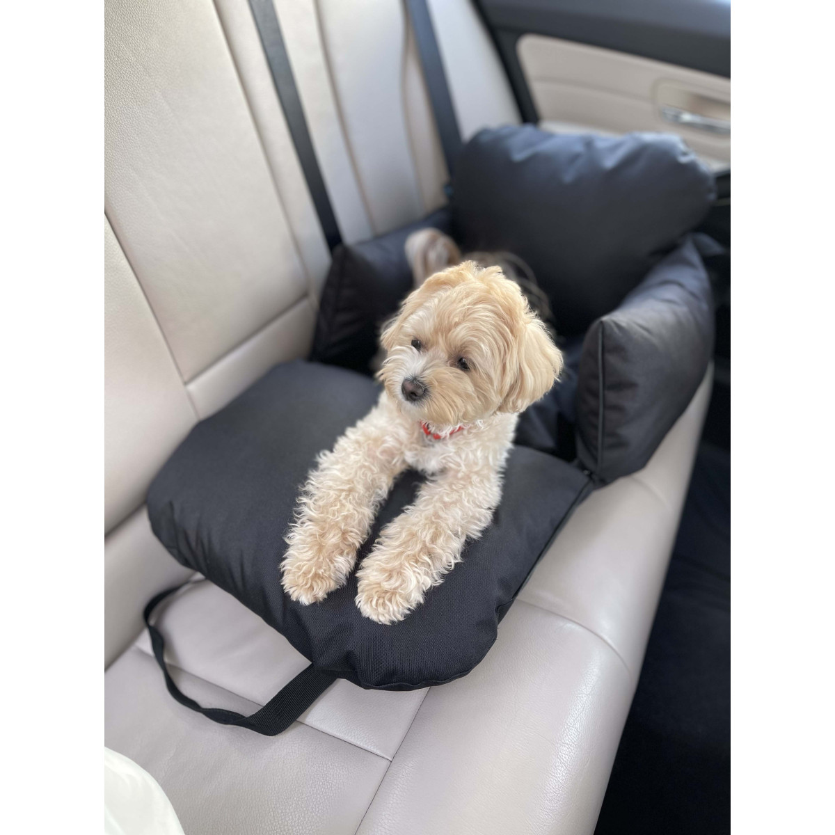 Car seat for dog