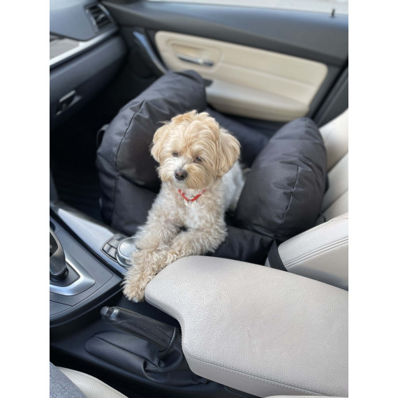 Car seat for dog